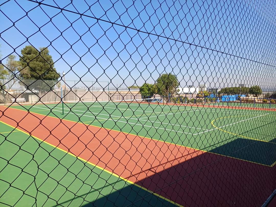 Court Fence