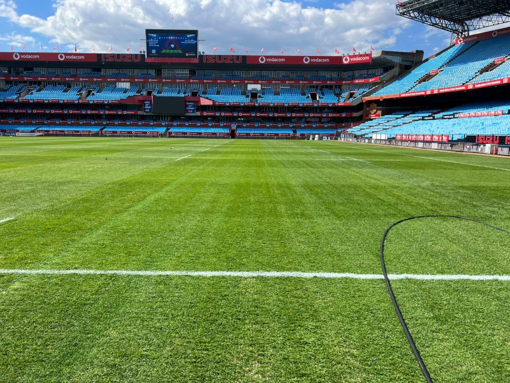 hybrid grass